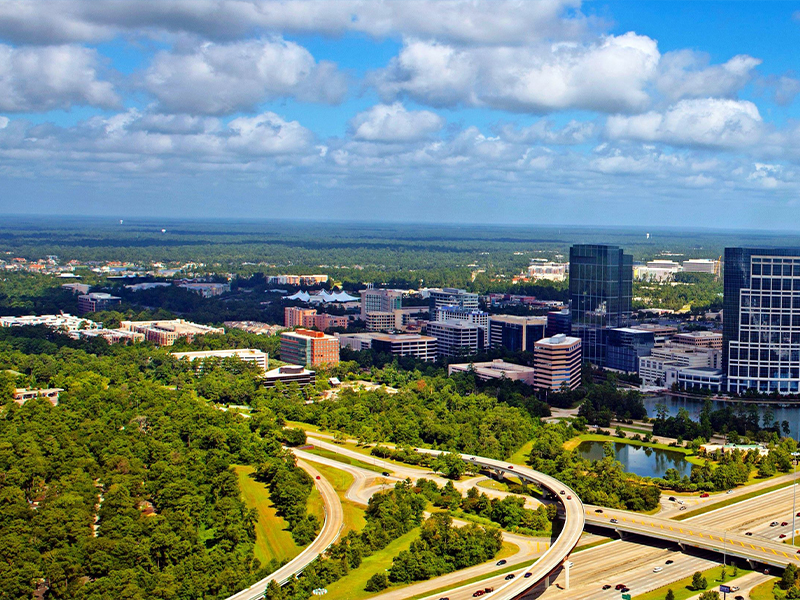 The Woodlands